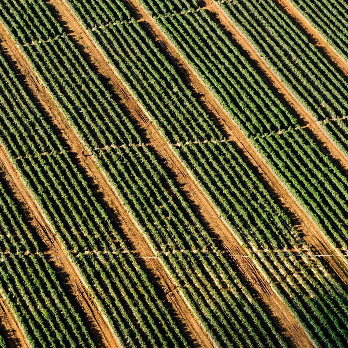 Annapurna Charm Bracelet - Image 1